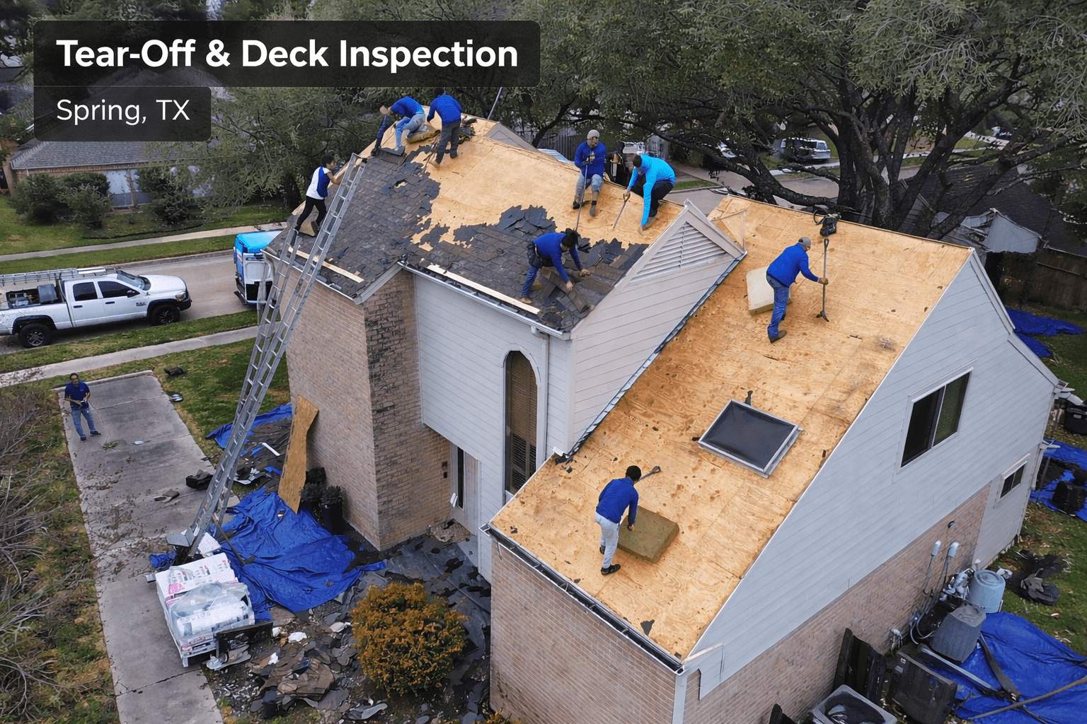 3775506B-8AF3-41AE-8B45-54D520796B2A (1)