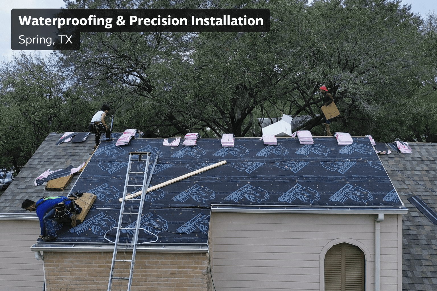 E4117176-2C8C-4D65-AD19-648C3A481057 (1)